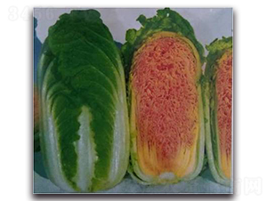 ��������-�ײ˷N��-����N��