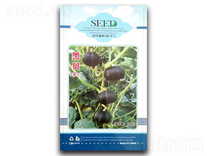 ��ؐ-�ϹϷN��-����N��