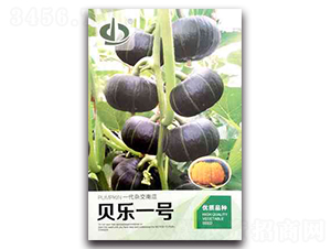 ؐ��һ̖-�ϹϷN��-����N��