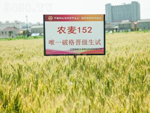 �r(n��ng)��152-С���N��-���r(n��ng)���S