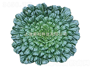 ��ɏ-�����˷N��-�ݺͷN�I(y��)