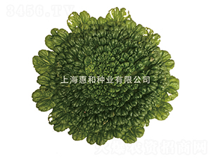 �ݴ�-�����˷N��-�ݺͷN�I(y��)