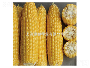 ����һ̖(h��o)-���׷N��-�ݺͷN�I(y��)