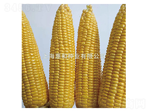 ����һ̖(h��o)-���׷N��-�ݺͷN�I(y��)