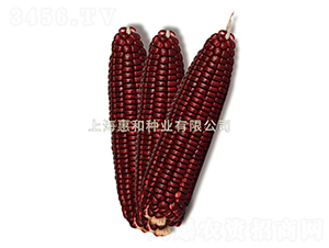 ���tŴ1̖(h��o)-Ŵ���׷N��-�ݺͷN�I(y��)