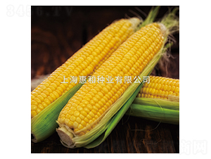 ������̖(h��o)-���׷N��-�ݺͷN�I(y��)