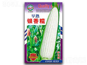 �����y��Ŵ-Ŵ���׷N��-����