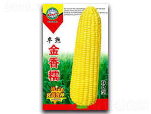 �������Ŵ-Ŵ���׷N��-����