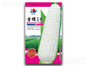 ѩŴ1̖(h��o)-Ŵ���׷N��-����