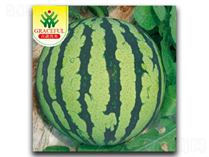 �k��-���ϷN��-��(y��u)���r(n��ng)�I(y��)