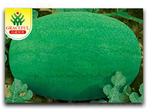 �G��-���ϷN��-��(y��u)���r(n��ng)�I(y��)