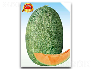 ���A-��ϷN��-��(y��u)���r(n��ng)�I(y��)