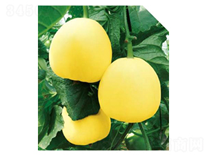 ����-��ϷN��-��(y��u)���r(n��ng)�I(y��)