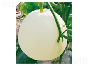 �P��-��ϷN��-��(y��u)���r(n��ng)�I(y��)