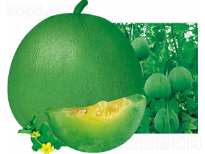 ���m-��ϷN��-��(y��u)���r(n��ng)�I(y��)