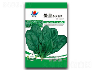 ī���s������-���˷N��-����