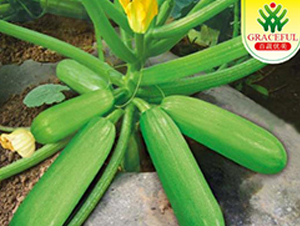 ������̖-�����J�N��-��(y��u)���r(n��ng)�I(y��)