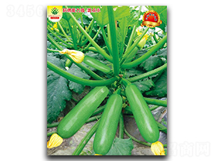 ʢ��-�����J�N��-��(y��u)���r(n��ng)�I(y��)