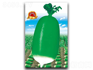 �G��-�}���N��-��(y��u)���r(n��ng)�I(y��)