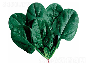 ʥ�؁���-���˷N��-��(y��u)���r(n��ng)�I(y��)