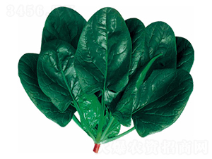 ��ʿ�D-���˷N��-��(y��u)���r(n��ng)�I(y��)