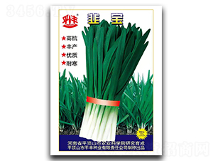 ��-�²˷N��-ƽ�S�N�I(y��)