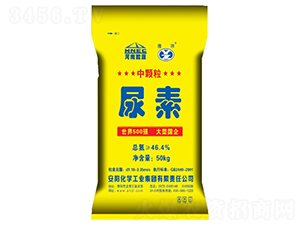 ���أ����w����-ԥ��ʘI(y��)