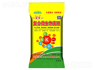 �ͺ�΢�������-ԥ��ʘI(y��)