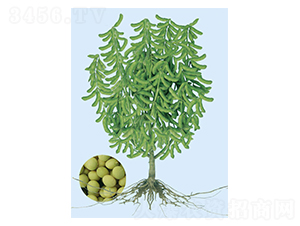 �|��һ̖(h��o)-ë���N��-���S�N�I(y��)