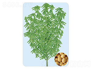 �_��18-�󶹷N��-���S�N�I(y��)