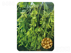 �F��67-�󶹷N��-���S�N�I(y��)