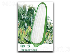 ��(r��n)Ŵһ̖(h��o)-Ŵ���׷N��-�(zh��n)�зN�I(y��)