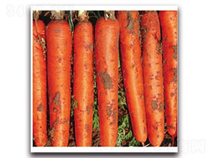 ���t-�}���N��-���ʵ�