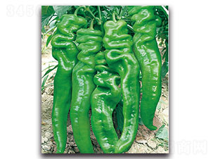 �P��-�����N��-���ʵ�