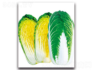 �½�3̖(h��o)-��ײ˷N��-���ʵ�(l��)