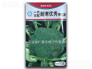 10g�ͺ���(y��u)��-���m���N��-���ʵ�