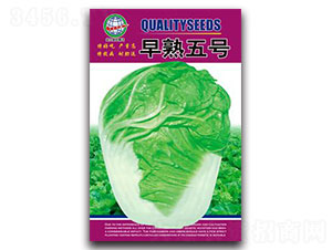 ������̖(h��o)-�ײ˷N��-����