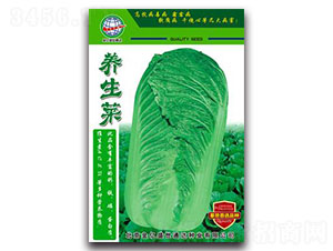 �B(y��ng)����-�ײ˷N��-����