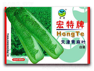 ��������~�ײ�-�ײ˷N��-����