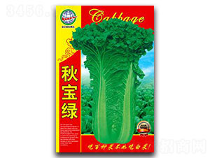 ��G-�ײ˷N��-����