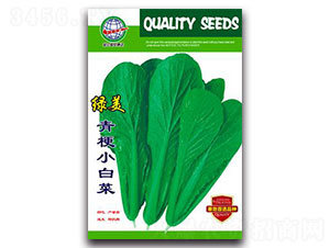 �G���๣С�ײ�-�ײ˷N��-����