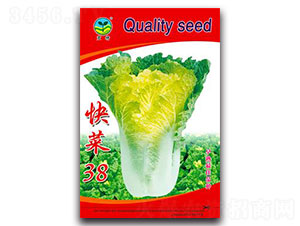 ���38-�ײ˷N��-����