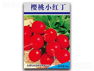 ����С�t��-���ѷN��-�ȃ�(y��u)�_