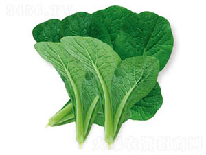 �ǹ�-С�ײ˷N��-�ȃ�(y��u)�_(d��)