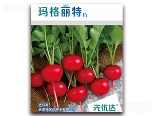 ��������F1-���ѷN��-�ȃ�(y��u)�_