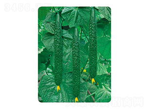 �ȃ�(y��u)L306-�S�ϷN��-�ȃ�(y��u)�_(d��)