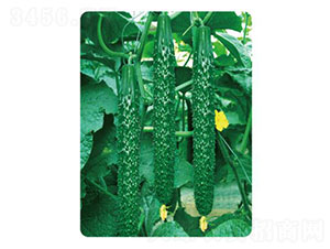 �ȃ�(y��u)L302-�S�ϷN��-�ȃ�(y��u)�_(d��)