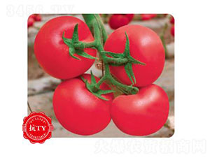 �ȃ�(y��u)207-���ѷN��-�ȃ�(y��u)�_