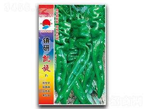 �P��-�ݽz���N��-�(zh��n)�зN�I(y��)