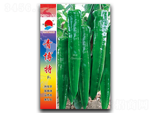 �಩��-�⽷�N��-�(zh��n)�зN�I(y��)